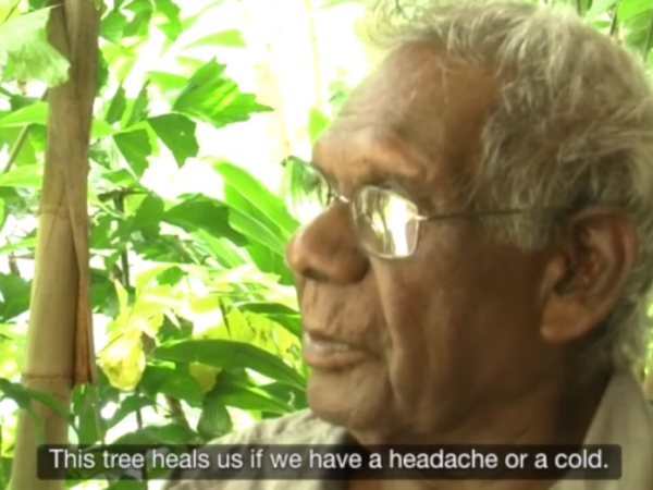 Bush Medicine 1 – Bimbim
