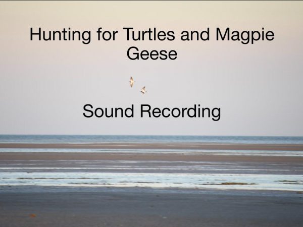Hunting for turtles and Magpie Geese